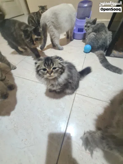 undefined 2