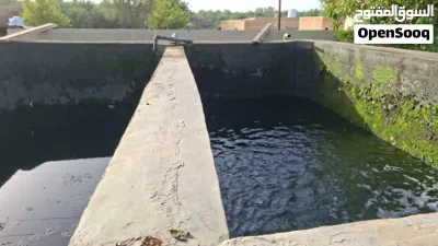 مزرعة للبيع 3