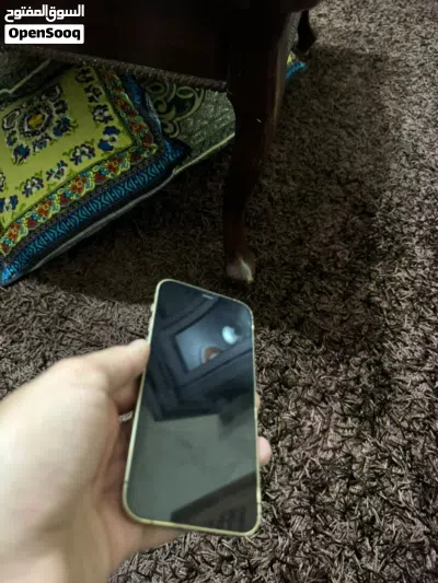 iPhone 12 Pro 4