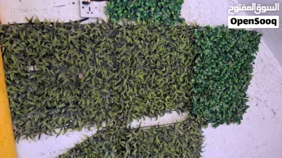 شبج مع تعاليك 3
