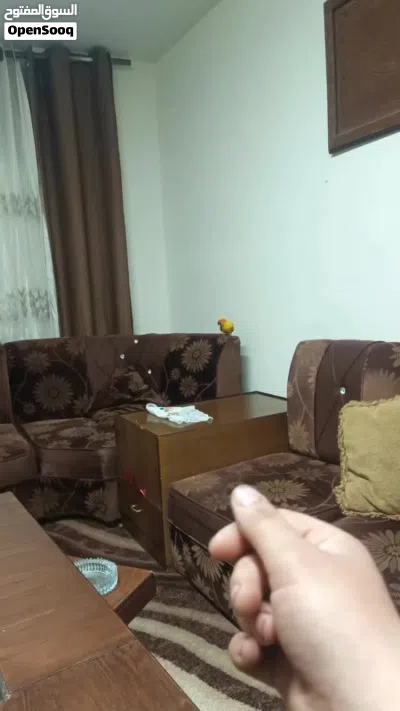 undefined 3