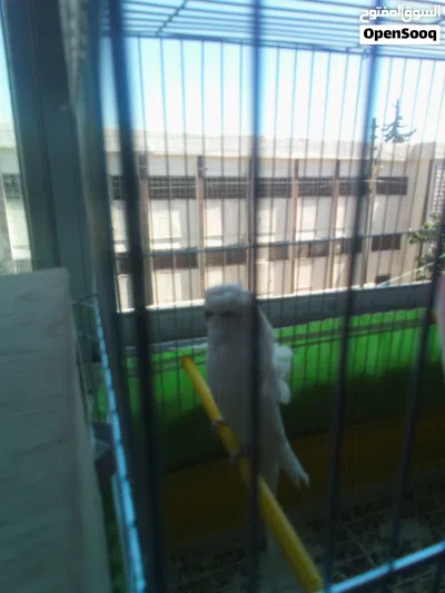 undefined 2
