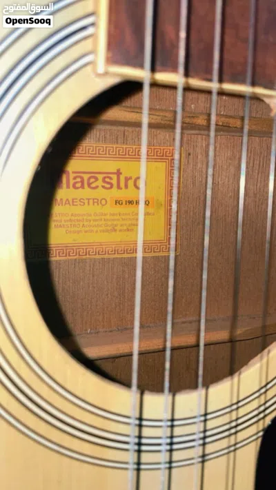 Maestro Acoustic Guitar 2