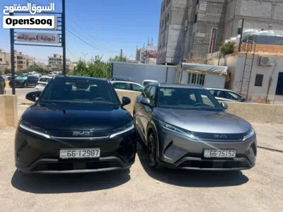 BYD Other 4