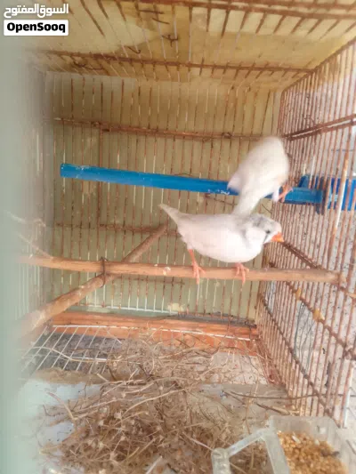 undefined 2