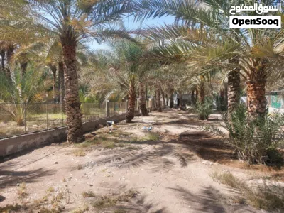 للبيع مزرعة ولايه قريات تواصل للجادين 2