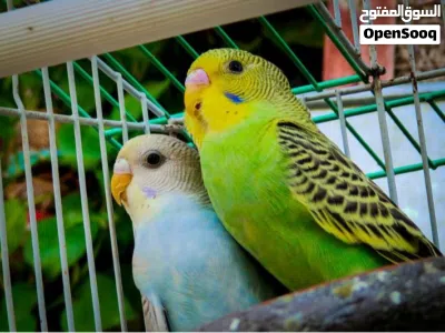 undefined 3