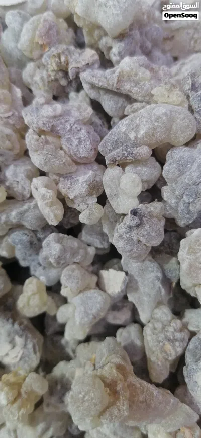 لبان حوجري للبخور ذو الريحه الزكيه عالي الجوده والسعر المناسب 2