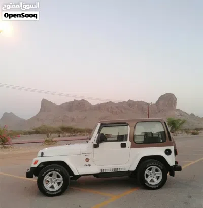 Jeep Wrangler Sahara 3