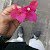هشام ميره