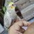 mohamad