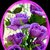 member160864494561