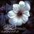رامي عبد الله