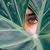 Hassan Qassim