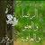 احمد ابو يوسف ابو يوسف ابو يوسف