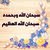 ابو طارق البشري
