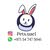 pets.uae1