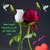 صقر السيد 07730018895 بي واتس اب
