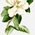Aldossary