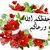 sami rmadan ali