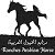 Ranches Arabian Horse