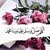 Maher g
