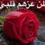 احمد الحامد