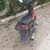 Haitham Hammemi