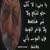 بدر سعيد