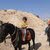 عاشق الخيل
