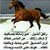 سبحان الله وبحمده سبحان ربي العظيم