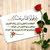 amr shafei