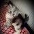 member160588730988 prince
