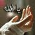 محمد الاركوازي