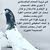 موسى البلوشي