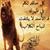 ابراهيم فوزي ابراهيم
