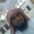 Sazed Mahbub