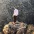Ghaith Alaa