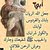 الحمدلله الله واكبر