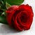 Noor Mohammad