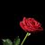 yousif kh