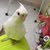 Dr.Birds