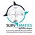 SurvMatics للخدمات المساحية والتكنولوجيا
