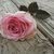 Abeer Sobhi