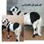 مراح الروعة والجمال للضان الهجين