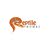 Reptile Homes