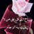واتساب فقط