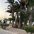 ahmed TK