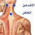 حجام ابوعمار
