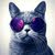 Hema Cool